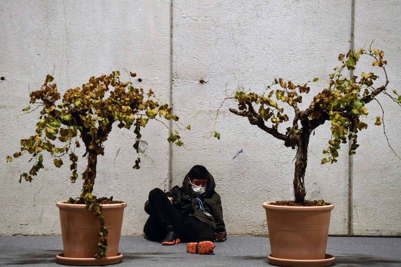 Un participante de la cumbre sentado junto a unas plantas en las instalaciones de Ifema