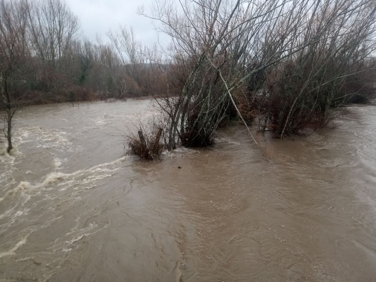 Localidades como Villaverde o Garrafe ven cómo las aguas del Torío inundan la zona tras la lluvia y el deshielo en las zonas de montaña