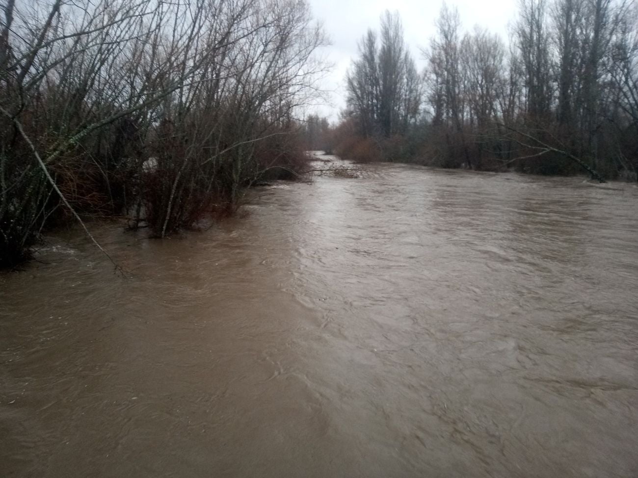 Localidades como Villaverde o Garrafe ven cómo las aguas del Torío inundan la zona tras la lluvia y el deshielo en las zonas de montaña