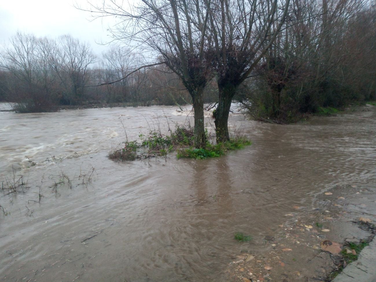 Localidades como Villaverde o Garrafe ven cómo las aguas del Torío inundan la zona tras la lluvia y el deshielo en las zonas de montaña