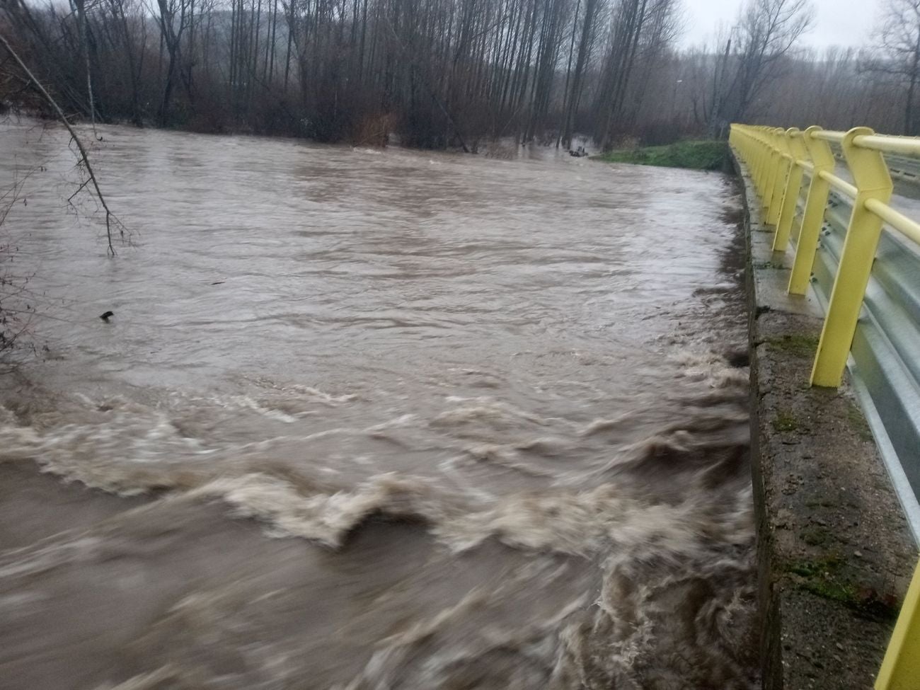 Localidades como Villaverde o Garrafe ven cómo las aguas del Torío inundan la zona tras la lluvia y el deshielo en las zonas de montaña