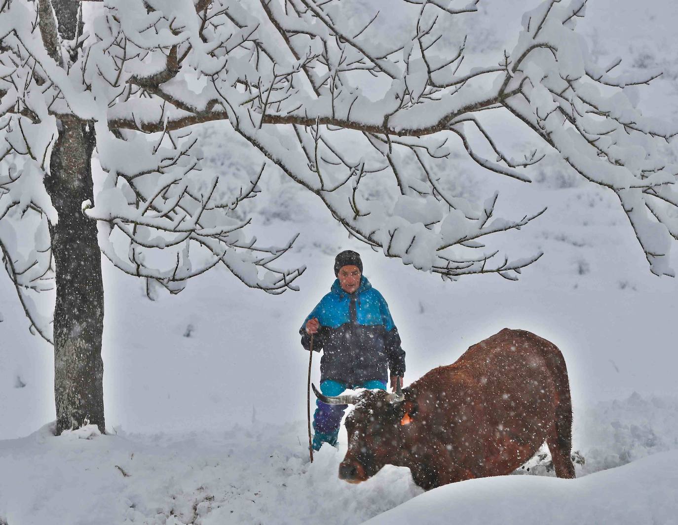 Complicada jornada en la región por las fuertes nevadas y el intenso frío, que mantiene la alerta naranja.