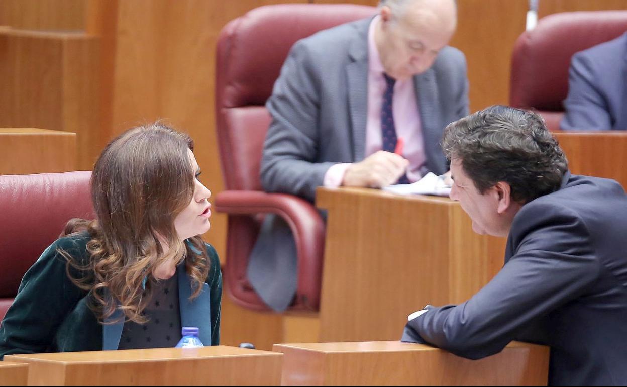 El consejero de Economía, Carlos Fernández Carriedo, conversa con la portavoz del Grupo Parlamentario de Ciudadanos, Carlota Amigo, durante el Pleno de las Cortes de Castilla y León.