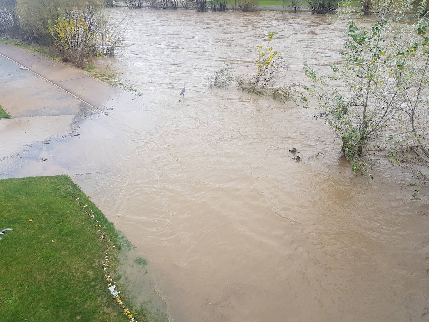 Fotos: El Bernesga vuelve a desbocarse