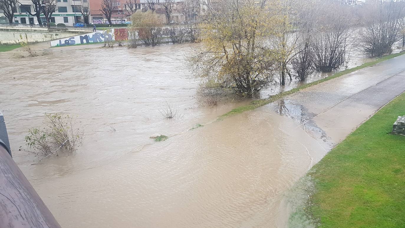 Fotos: El Bernesga vuelve a desbocarse