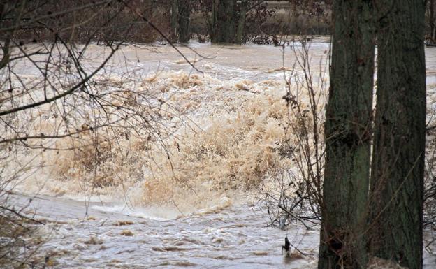 La intensidad de los caudales sigue poniendo en riesgo a gran parte de la provincia. En la imagen, aguas descontroladas en el río Bernesga.