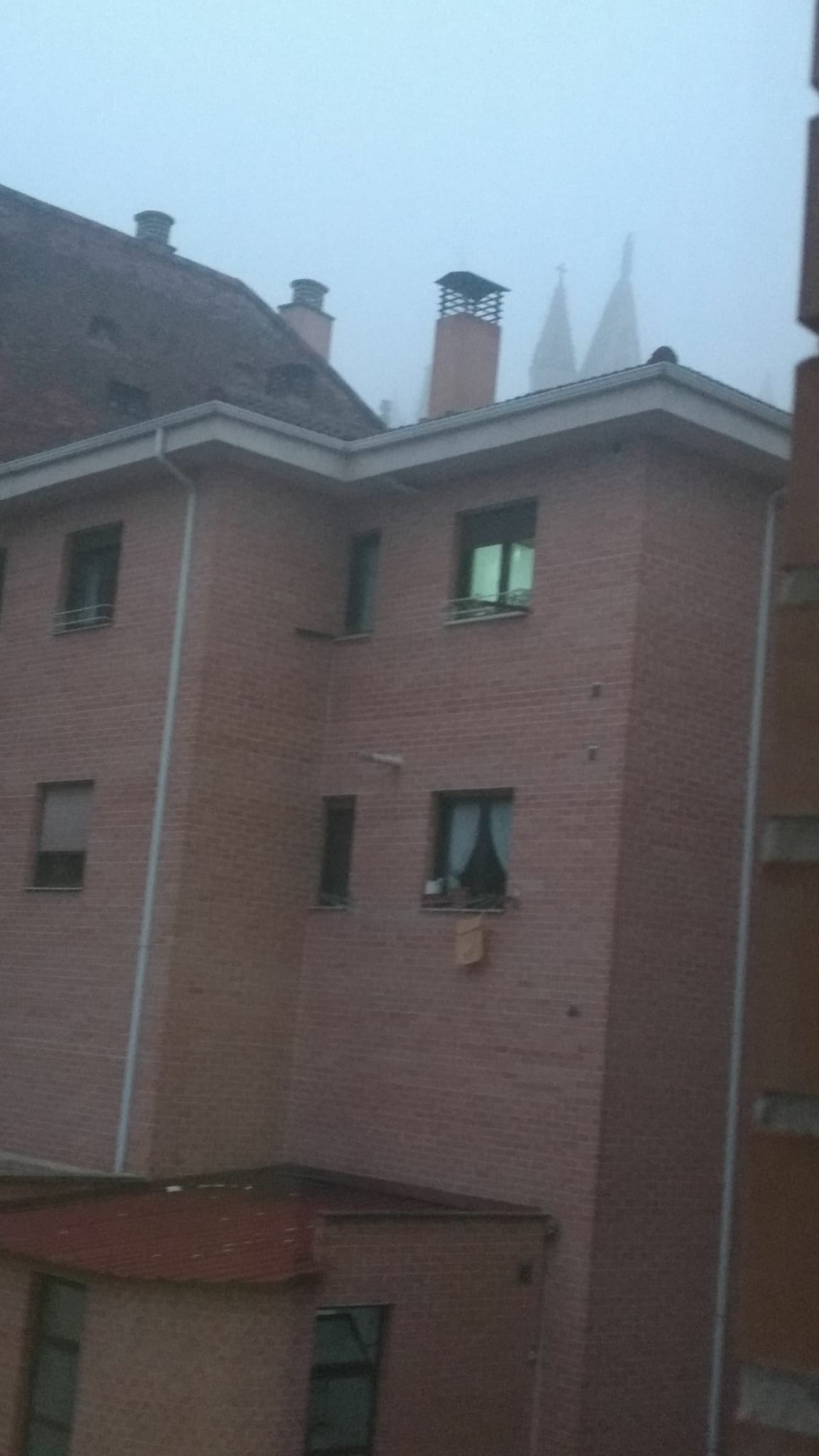 Fotos: León amanece con niebla en Nochebuena