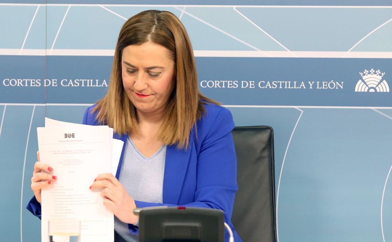 La vicesecretaria general del PSOECyL y viceportavoz socialista en las Cortes, Virginia Barcones, celebra una rueda de prensa sobre despoblación y ordenación del territorio en Castilla y León.