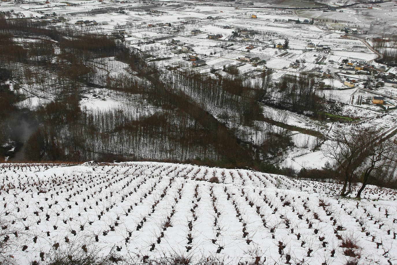 Fotos: Cambiando el carbón por vino