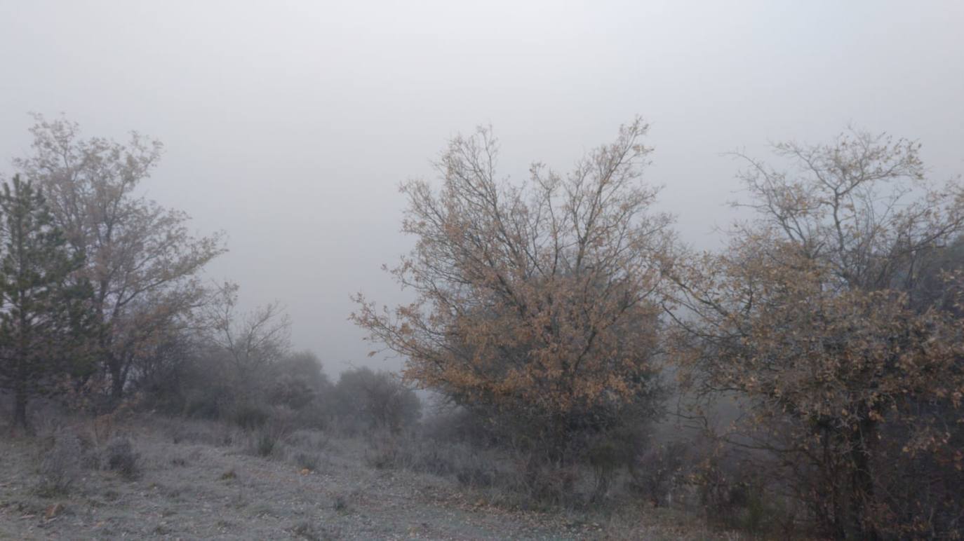 Fotos: La niebla &#039;ciega&#039; la provincia leonesa