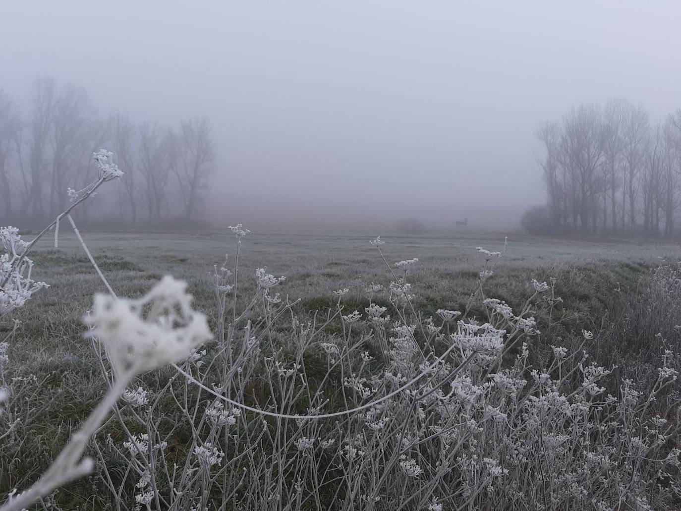 Fotos: La niebla &#039;ciega&#039; la provincia leonesa