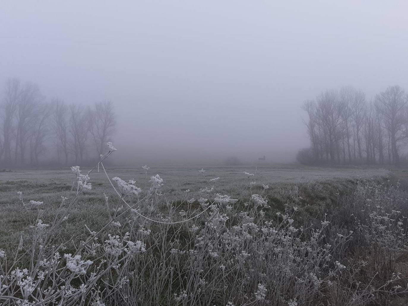 Fotos: La niebla &#039;ciega&#039; la provincia leonesa