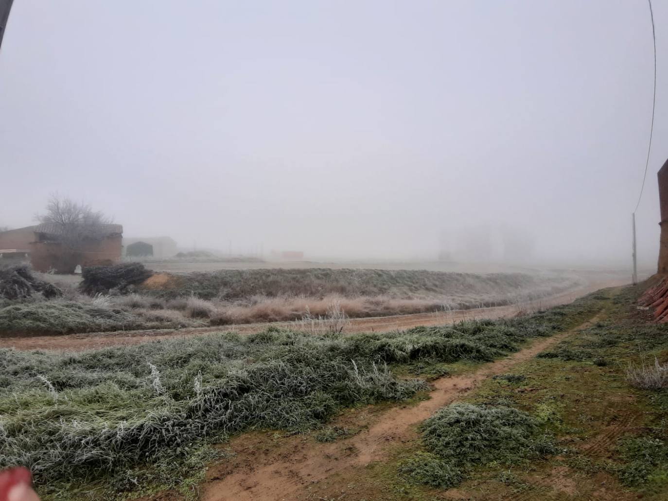 Fotos: La niebla &#039;ciega&#039; la provincia leonesa