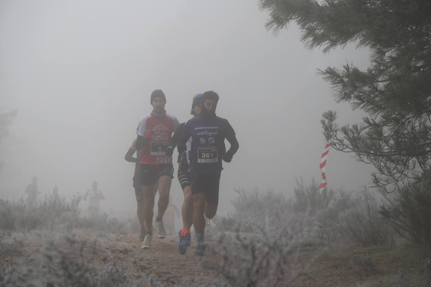 Fotos: Las imágenes de la Transcandamia