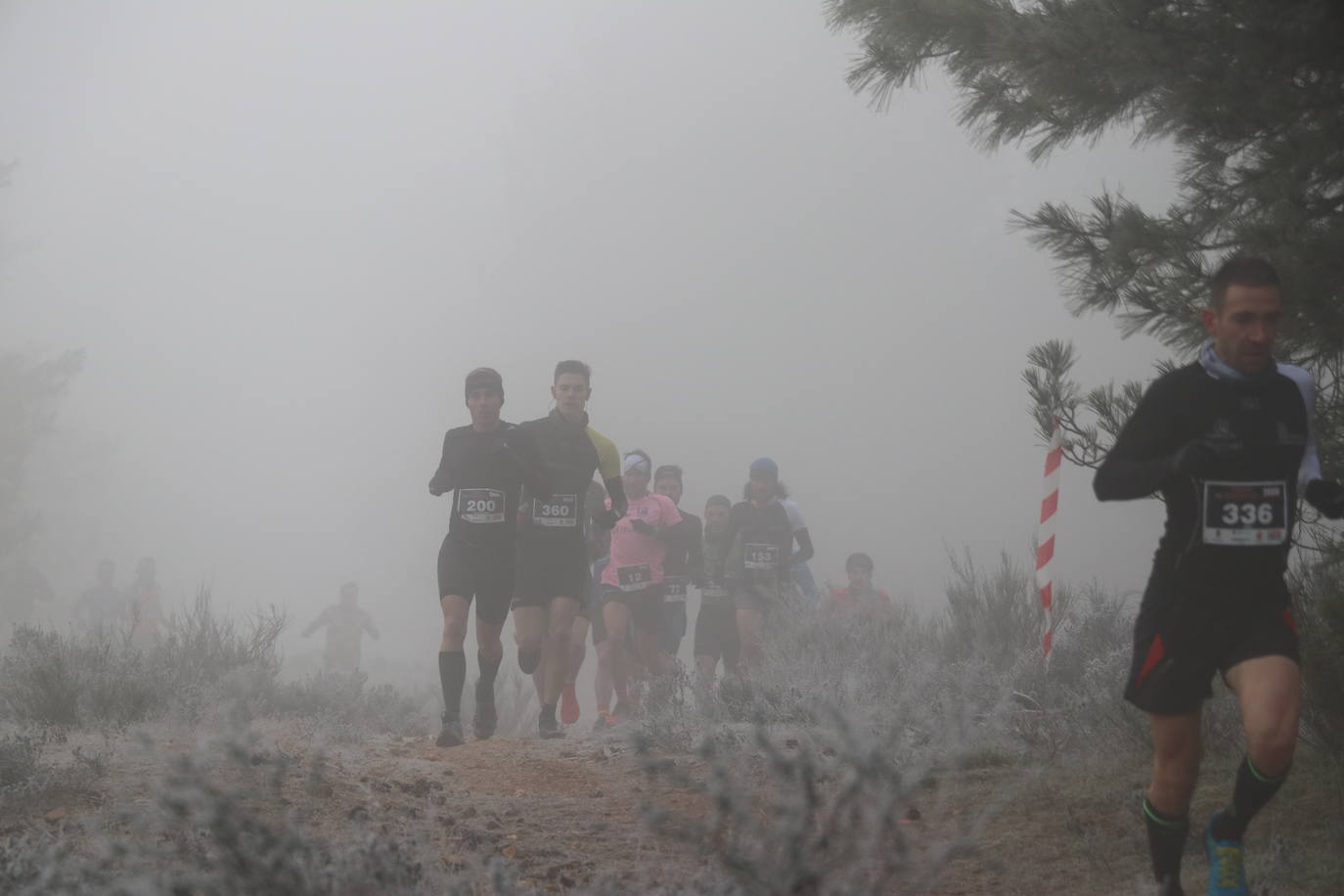 Fotos: Las imágenes de la Transcandamia