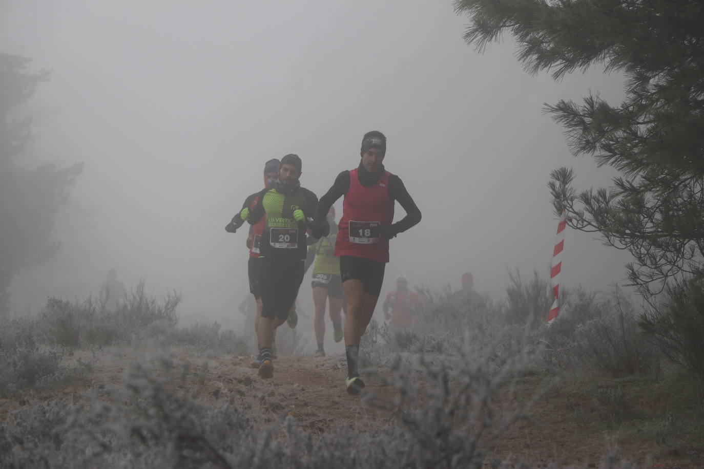 Fotos: Las imágenes de la Transcandamia