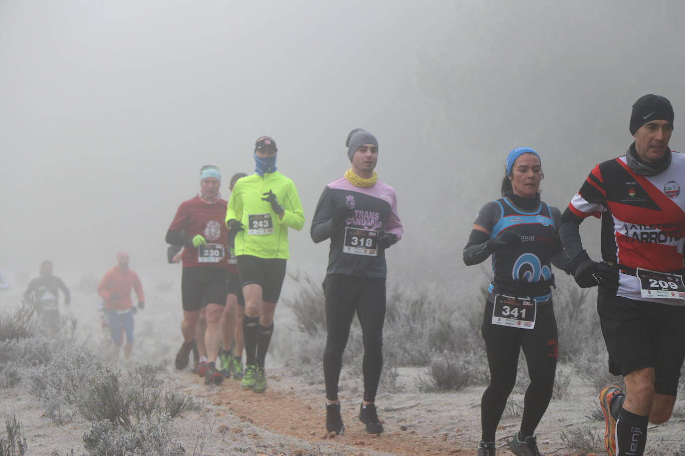 Fotos: Las imágenes de la Transcandamia