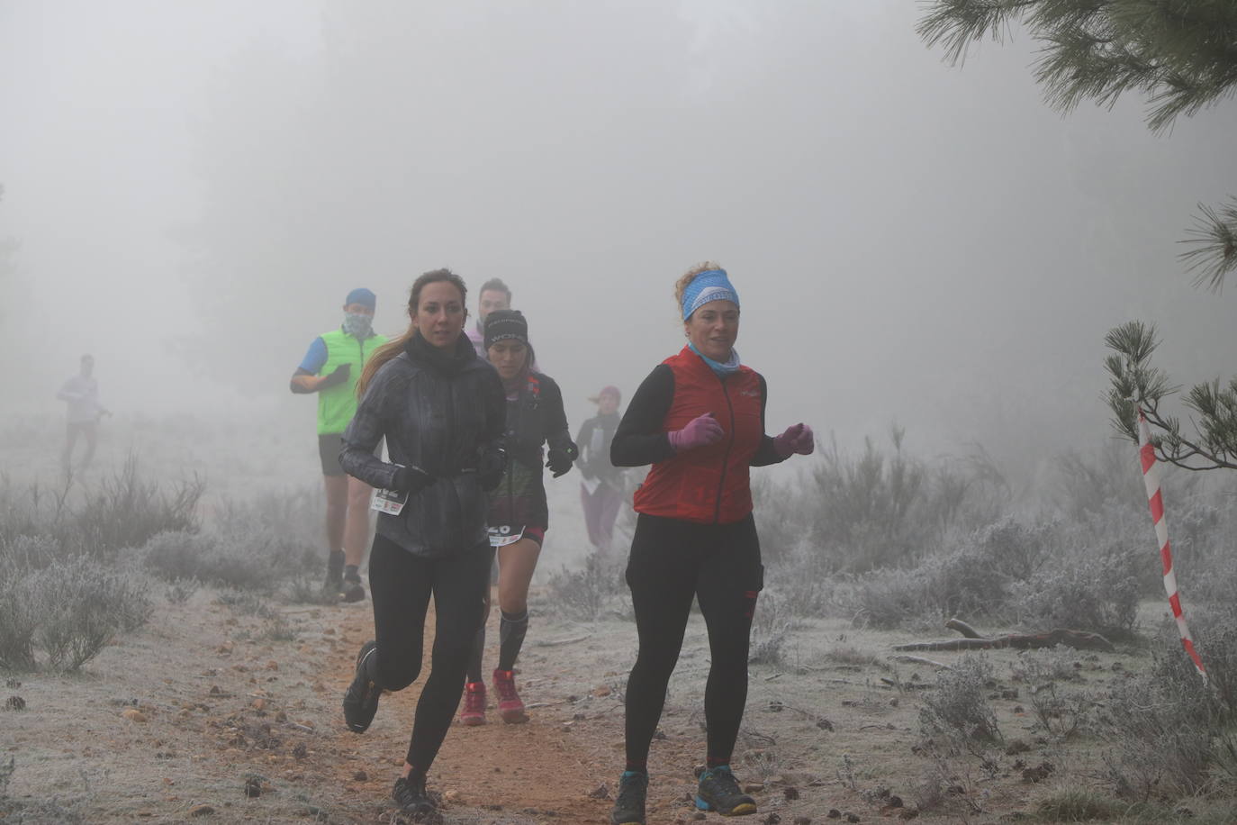 Fotos: Las imágenes de la Transcandamia