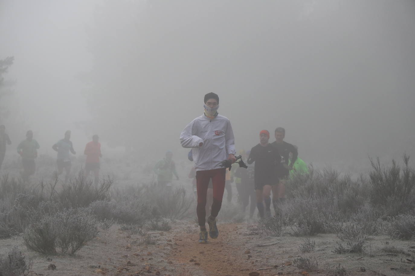 Fotos: Las imágenes de la Transcandamia