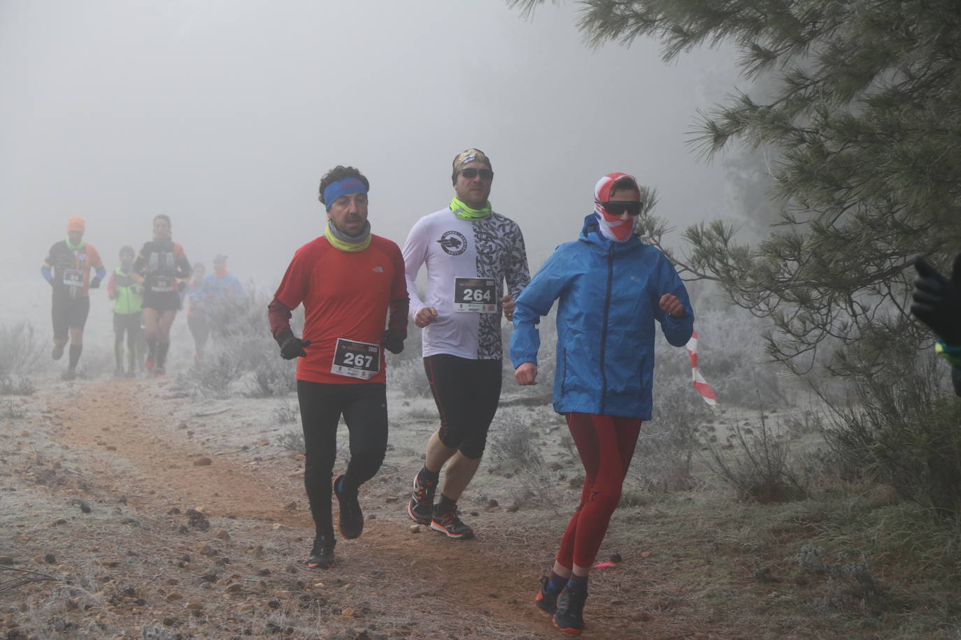 Fotos: Las imágenes de la Transcandamia