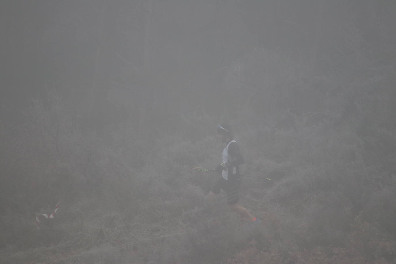 Fotos: Las imágenes de la Transcandamia