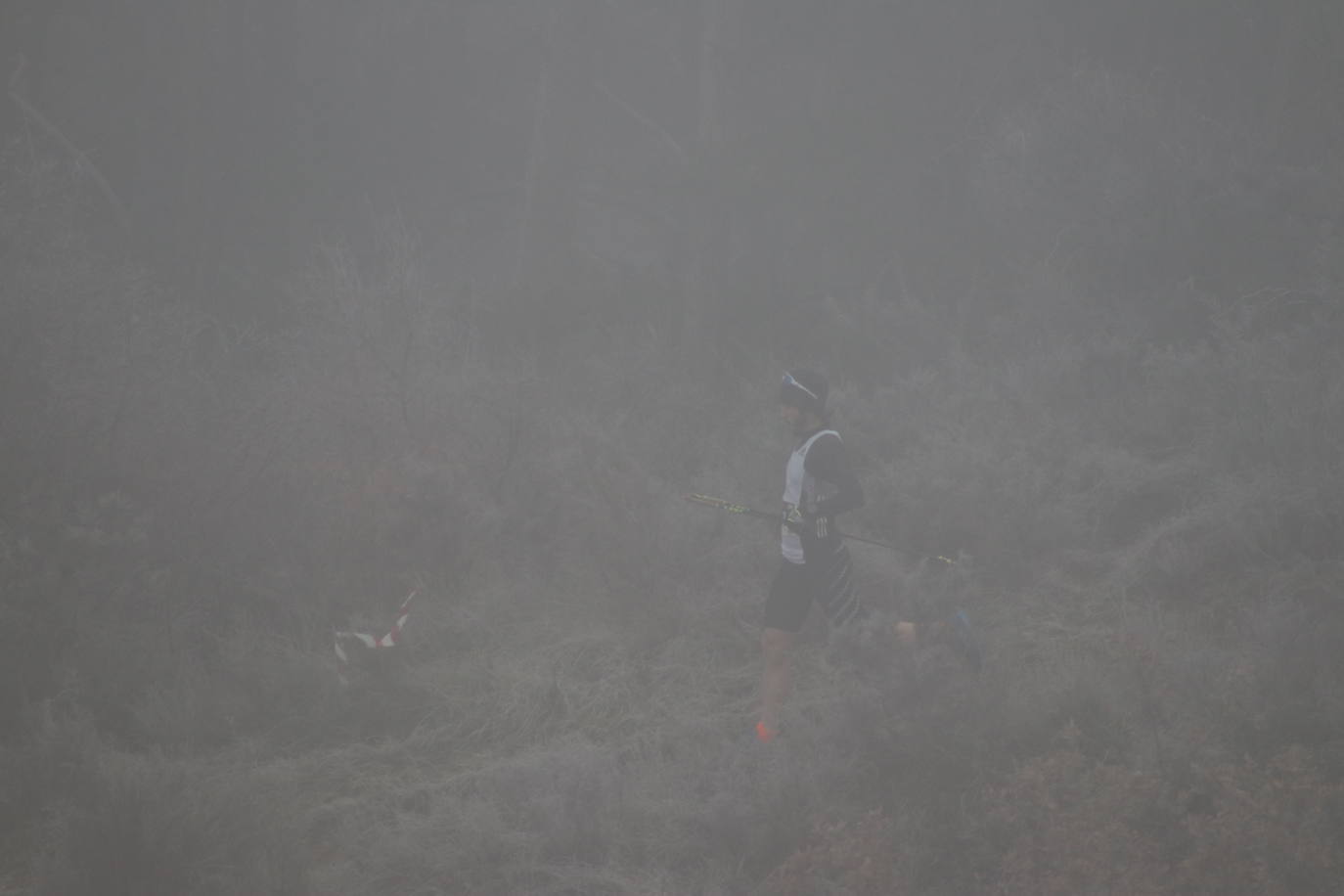 Fotos: Las imágenes de la Transcandamia