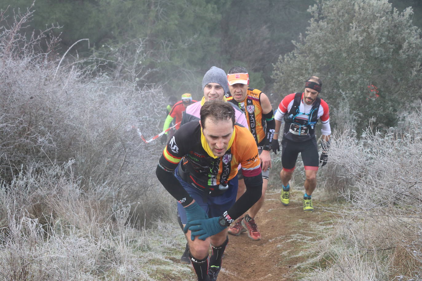 Fotos: Las imágenes de la Transcandamia