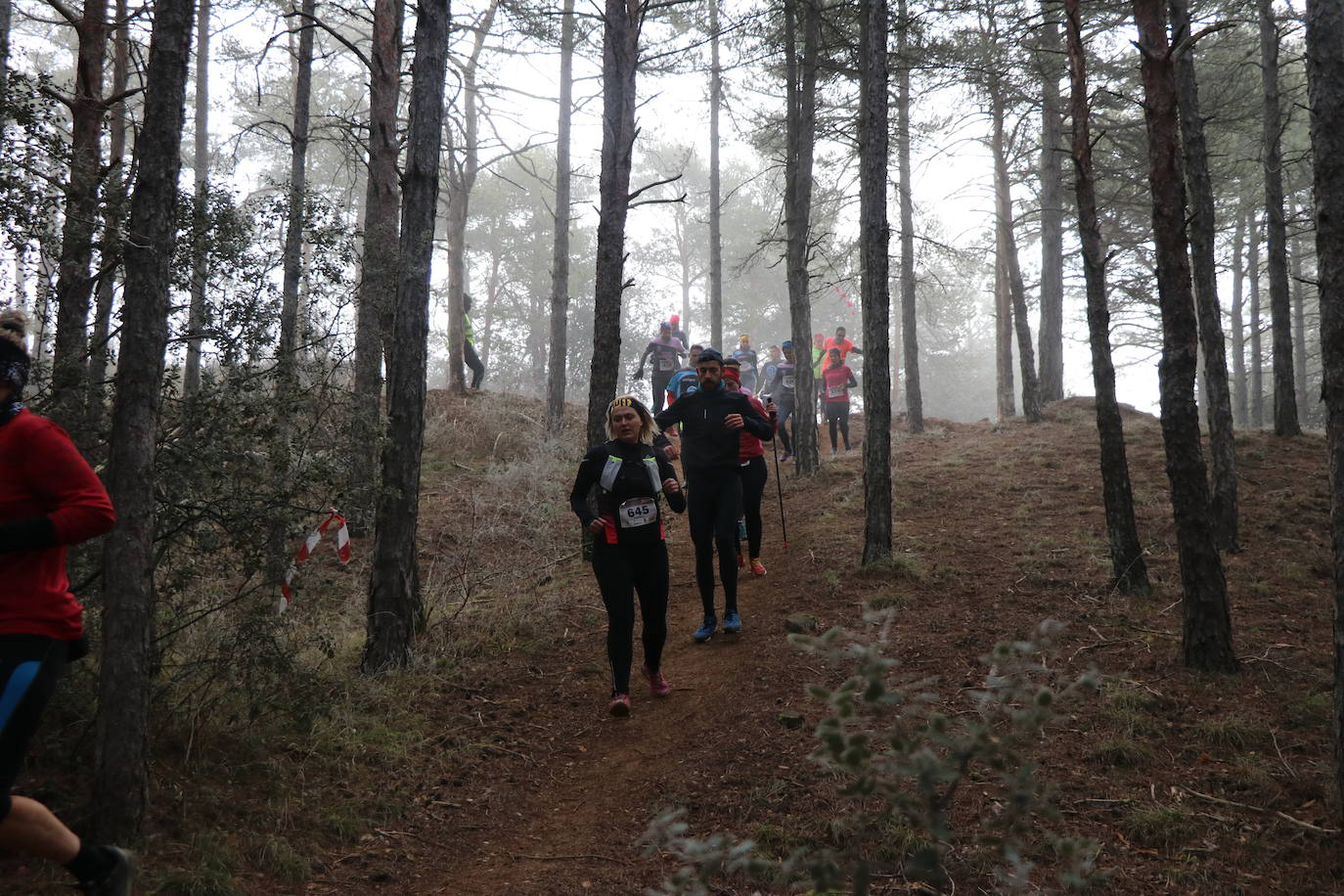 Fotos: Las imágenes de la Transcandamia