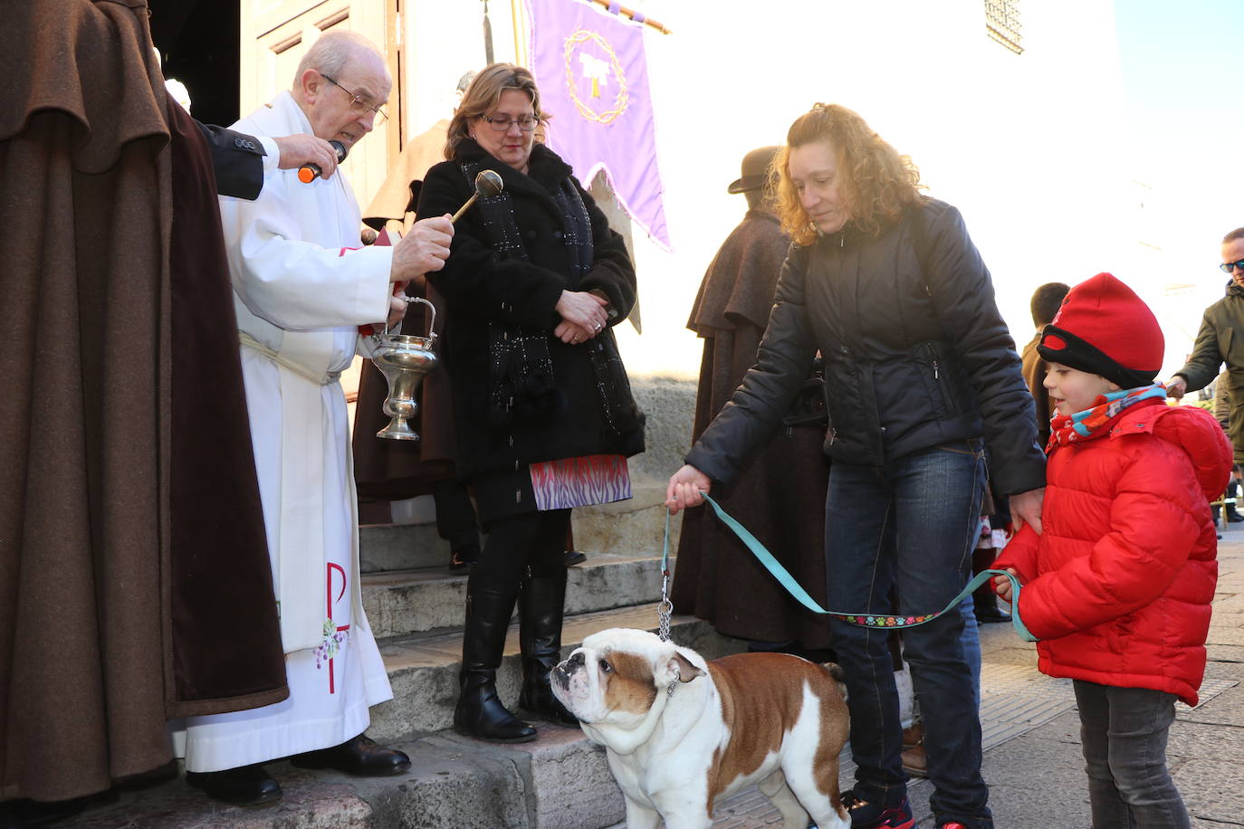 Fotos: Las mascotas toman su bendición