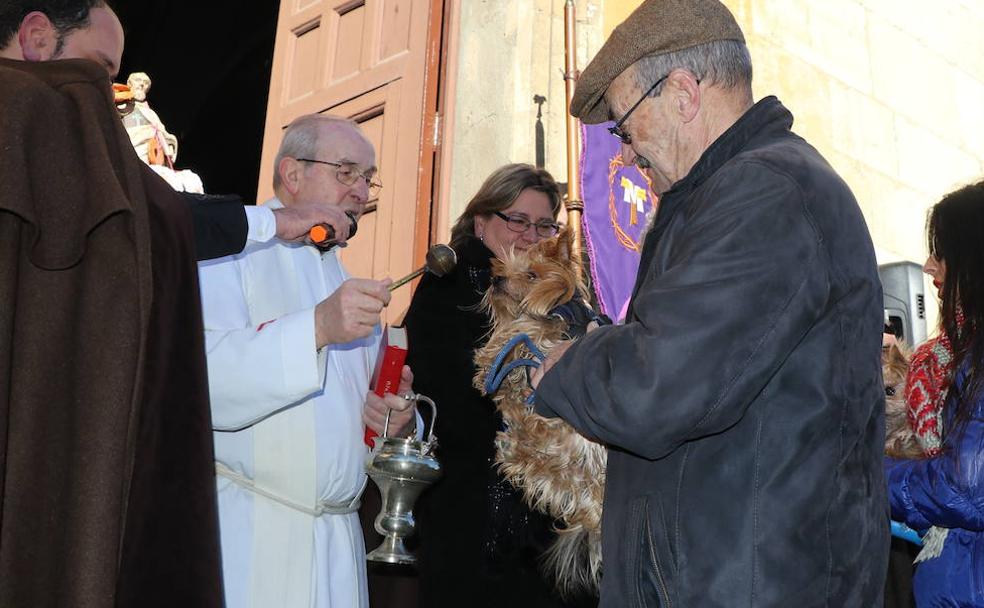 Las mascotas han recibidio la bendición.