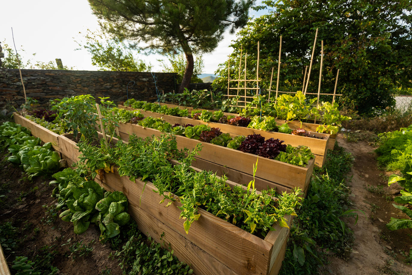 Ideal para una escapada en pareja o en familia, The Rock Suites&Spa ofrece un lugar idílico, un perfecto mirador hacia El Bierzo y unas instalaciones de auténtico lujo para disfrutar de momentos inolvidables.