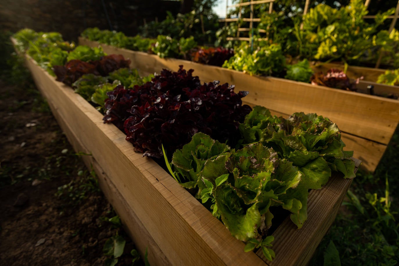 Ideal para una escapada en pareja o en familia, The Rock Suites&Spa ofrece un lugar idílico, un perfecto mirador hacia El Bierzo y unas instalaciones de auténtico lujo para disfrutar de momentos inolvidables.