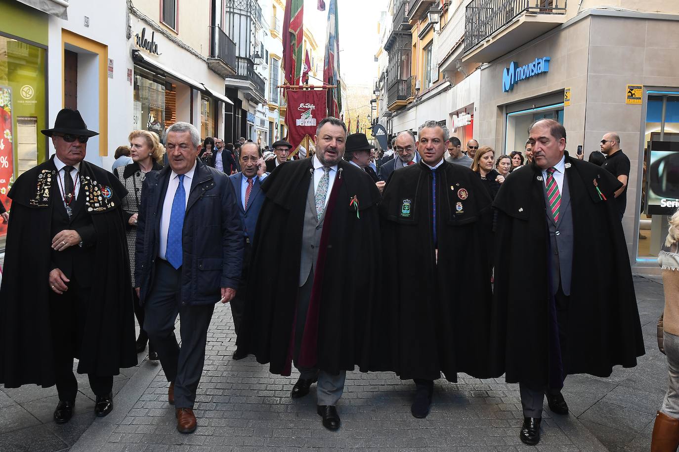 Fotos: La Diputación y los pendones pasean por Sevilla