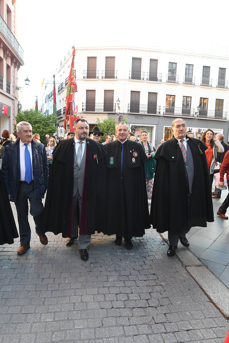 Fotos: La Diputación y los pendones pasean por Sevilla