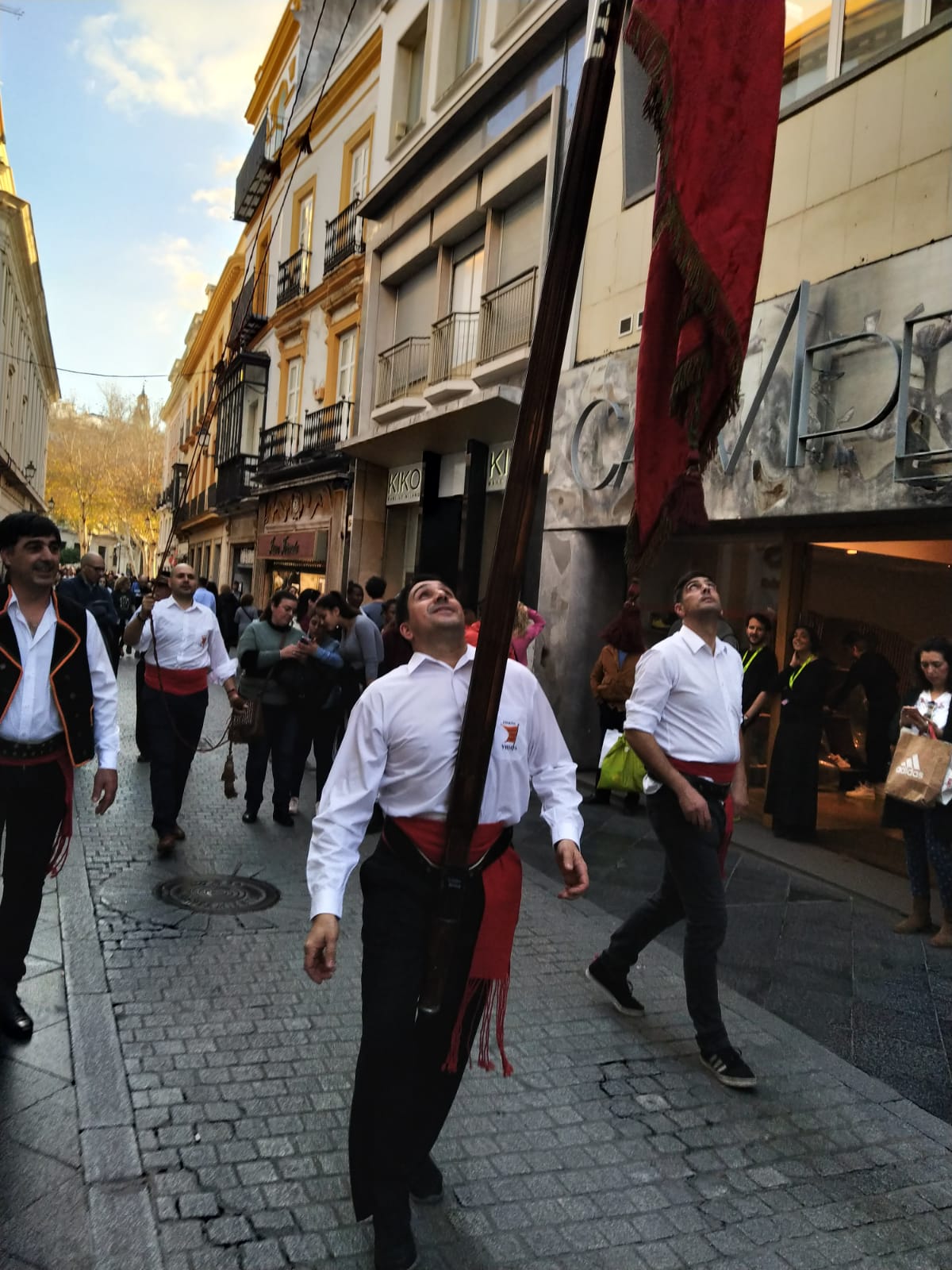 Fotos: La Diputación y los pendones pasean por Sevilla