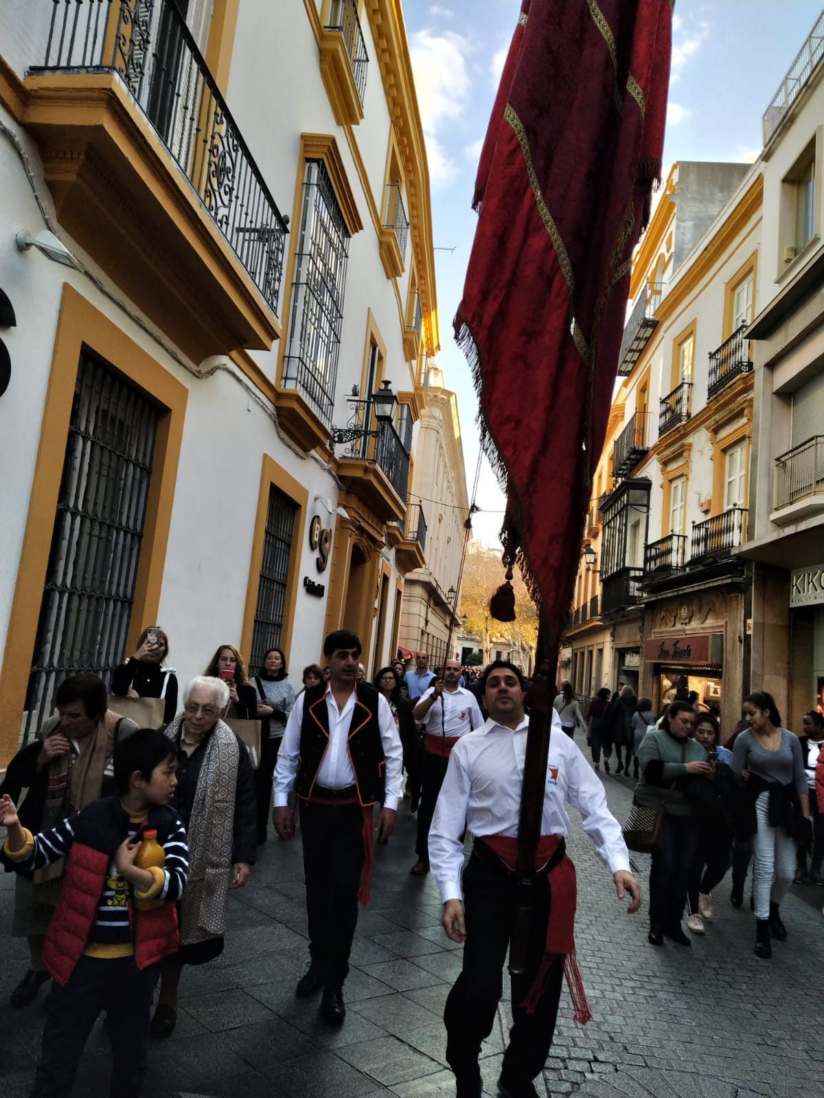 Fotos: La Diputación y los pendones pasean por Sevilla