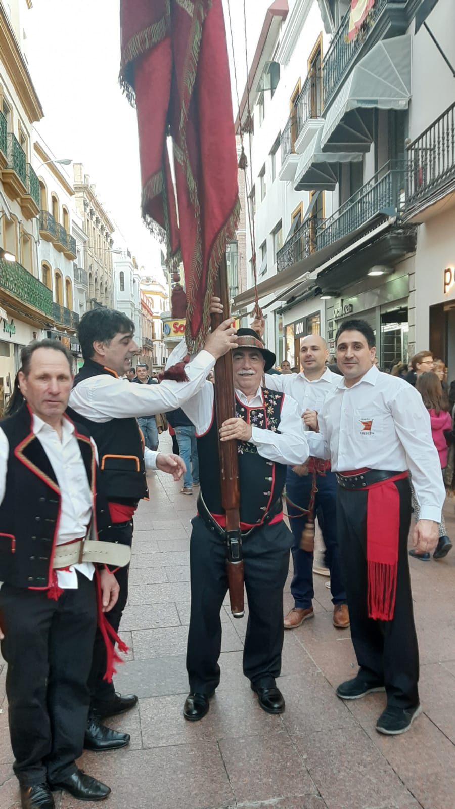 Fotos: La Diputación y los pendones pasean por Sevilla