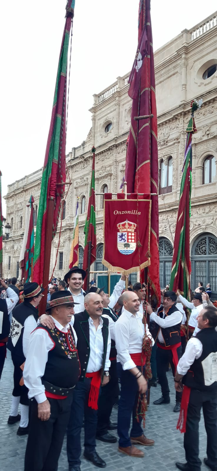 Fotos: La Diputación y los pendones pasean por Sevilla