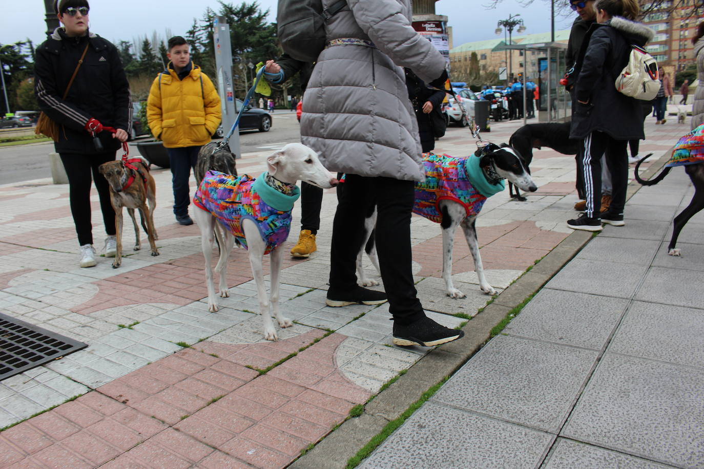 Fotos: Manifestación en contra de la caza con galgos en León