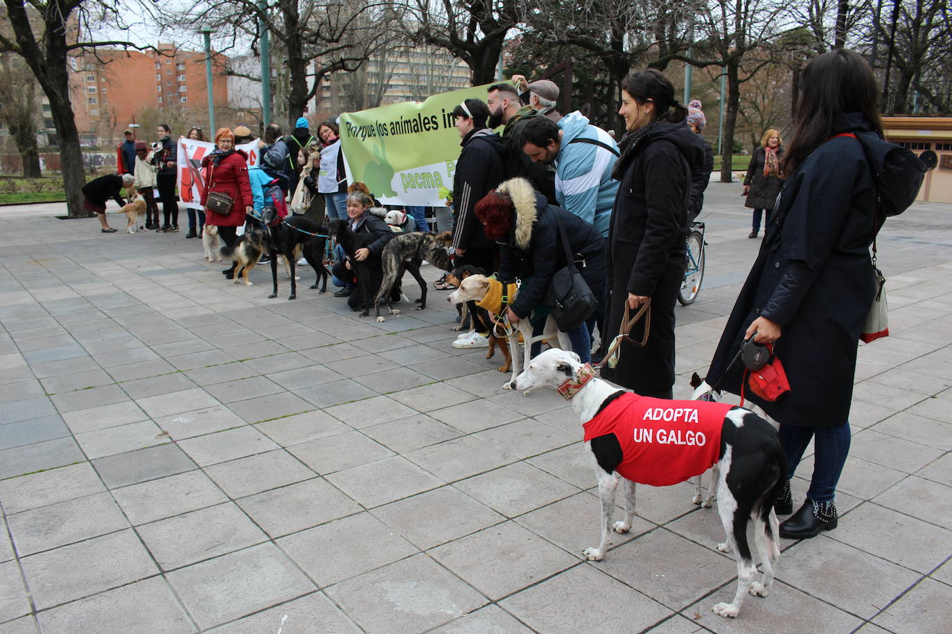 Fotos: Manifestación en contra de la caza con galgos en León