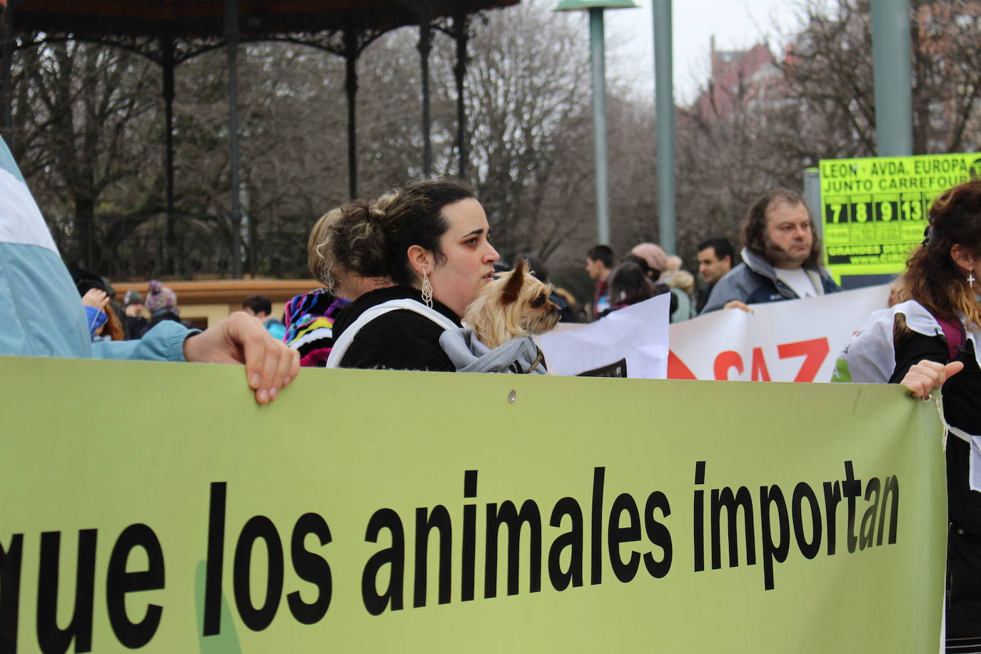 Fotos: Manifestación en contra de la caza con galgos en León