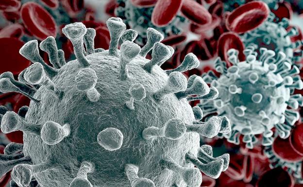 Imagen del virus del coronavirus al microscopio.