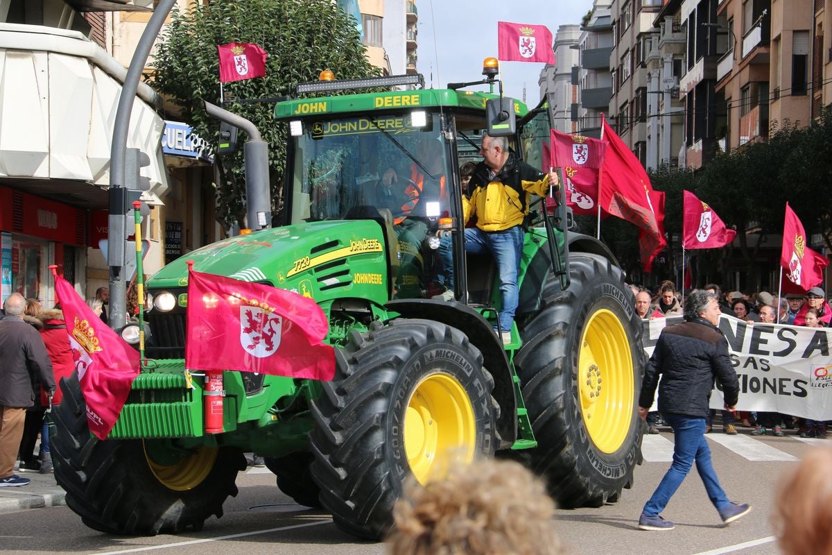 Fotos: La sociedad leonesa se suma a la manifestación del 16F