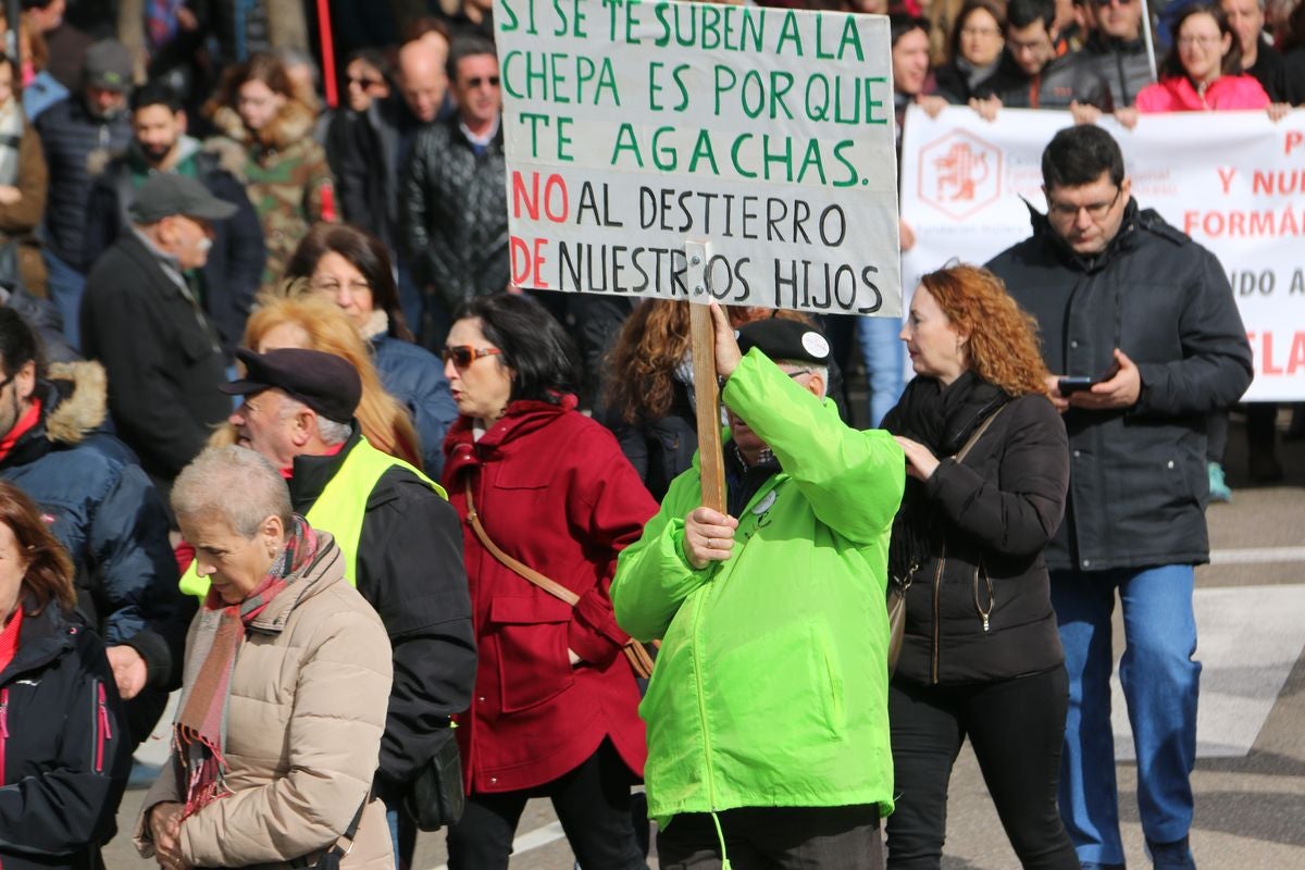 Fotos: La sociedad leonesa se suma a la manifestación del 16F