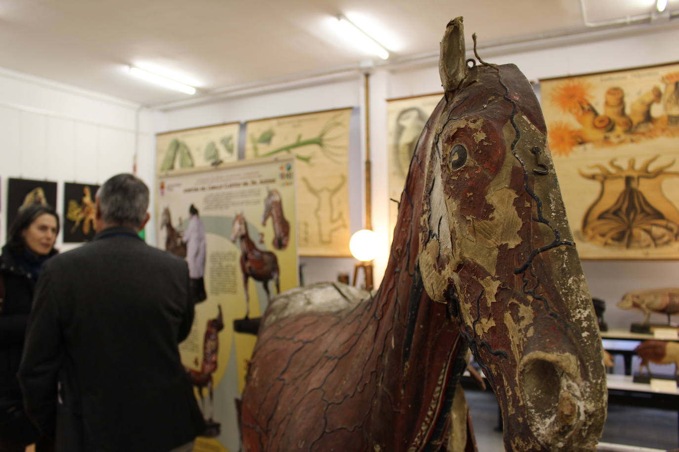 Fotos: Nuevo museo de la Universidad de León en la antigua Escuela de Minas