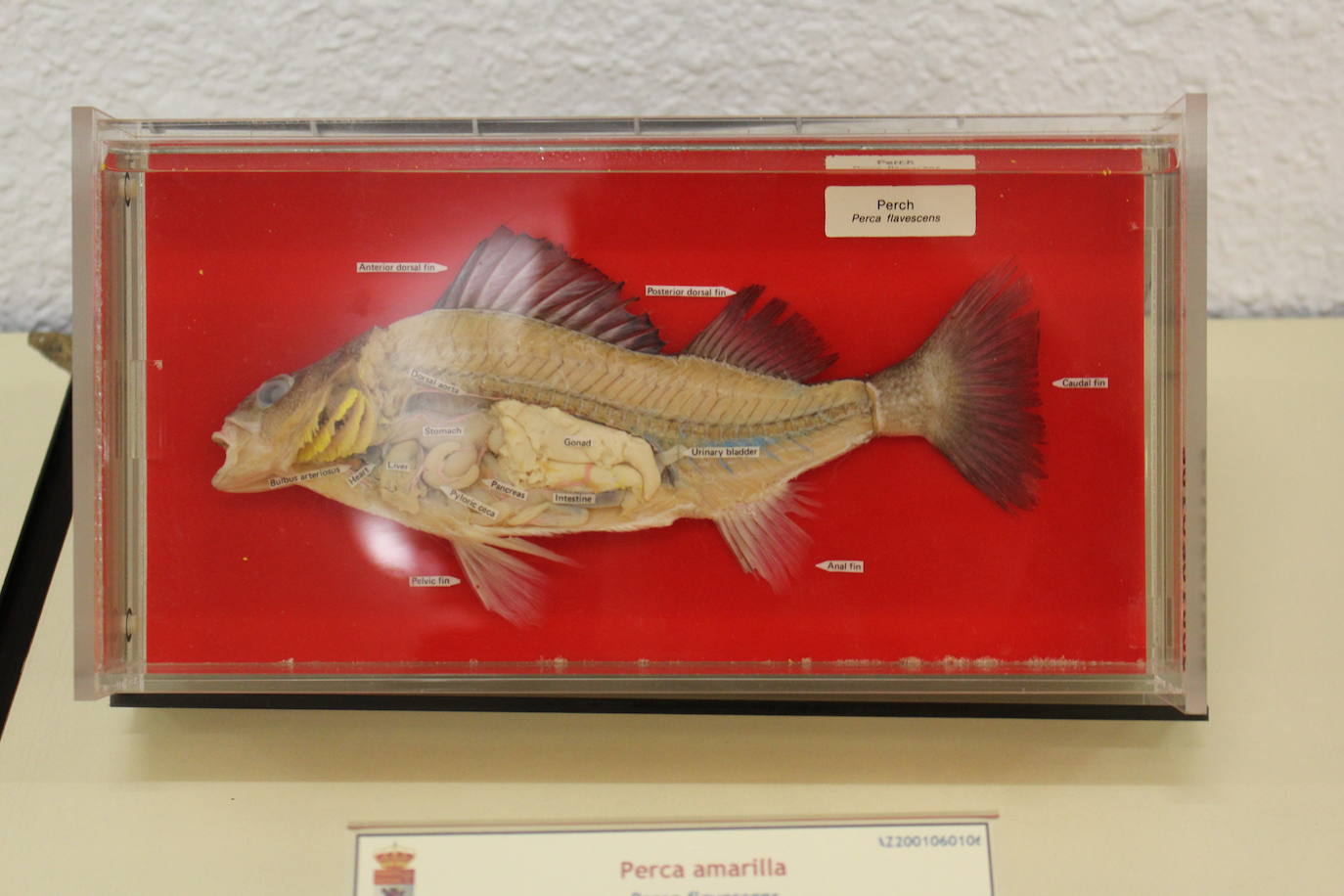 Fotos: Nuevo museo de la Universidad de León en la antigua Escuela de Minas