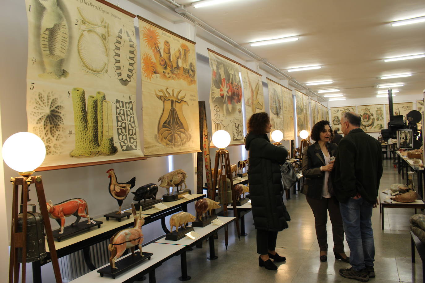 Fotos: Nuevo museo de la Universidad de León en la antigua Escuela de Minas