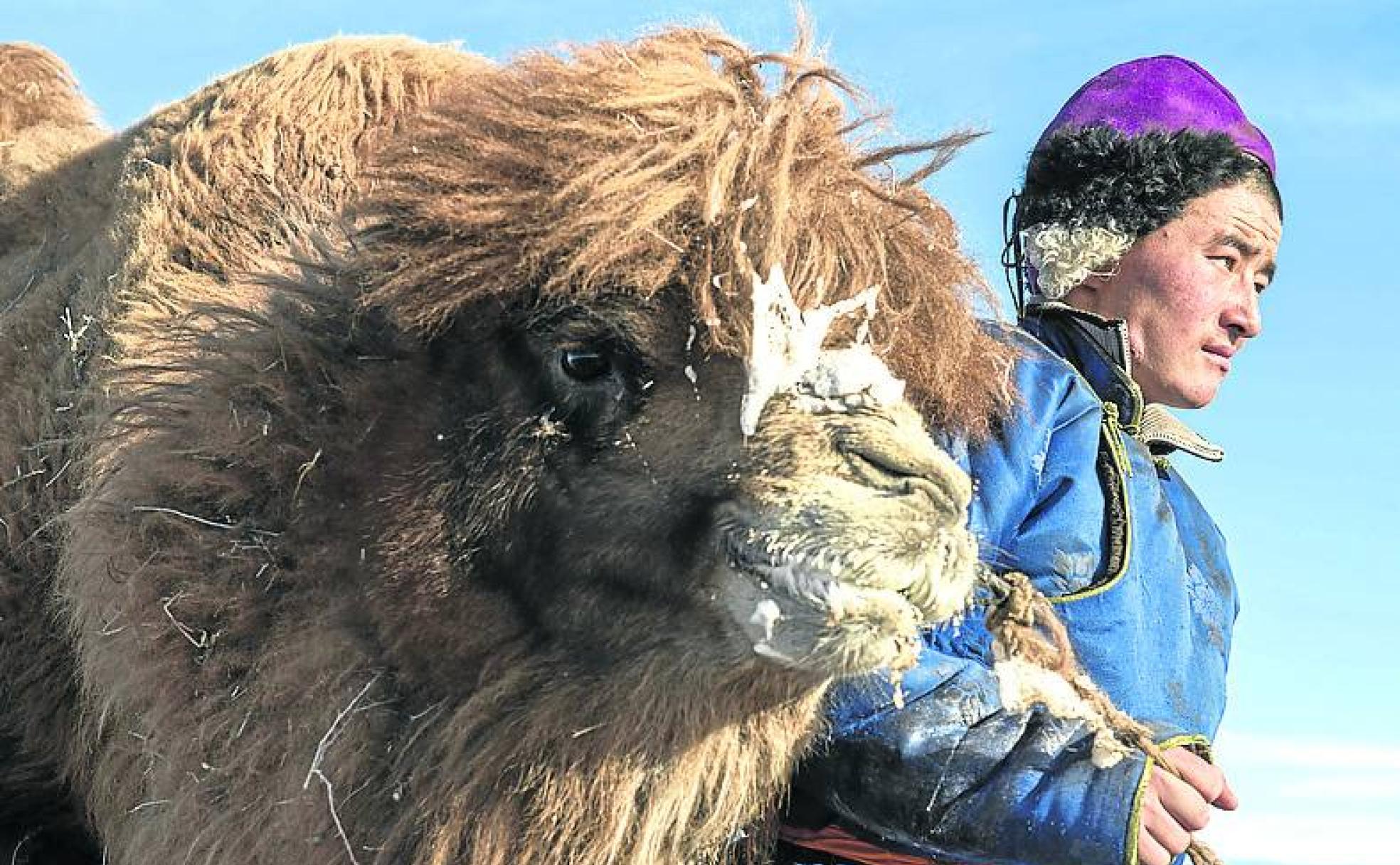 Un nómada del desierto posa con su camello.