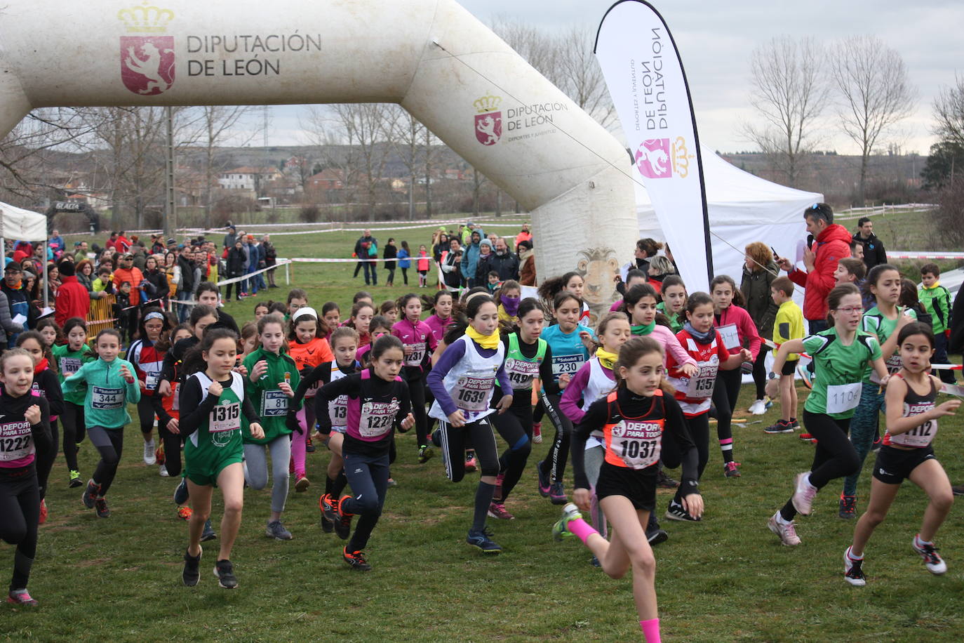 Fotos: Campeonato Provincial de Cross Escolar