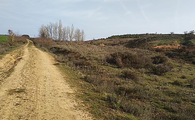 Galería. Imagen del área en la que fue localizado el cuerpo.